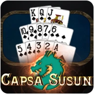 Capsa Susun